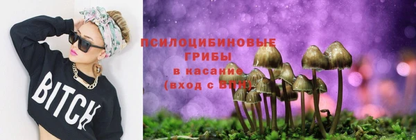 стаф Баксан