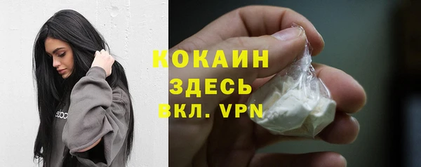 шишки Балабаново