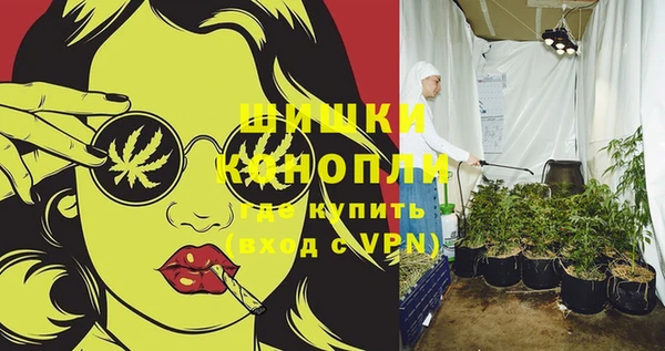 шишки Балабаново