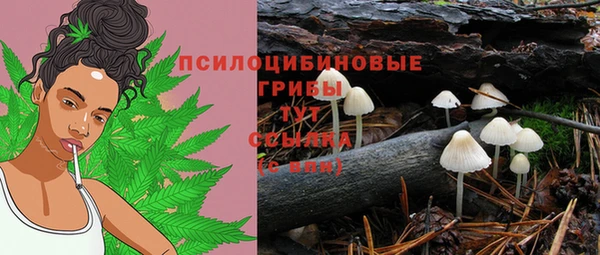 шишки Балабаново