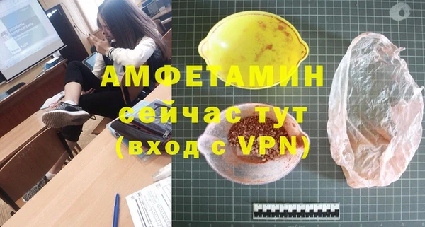индика Арсеньев