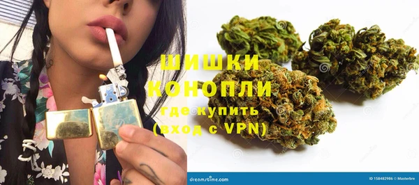 шишки Балабаново