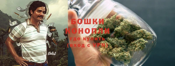 шишки Балабаново