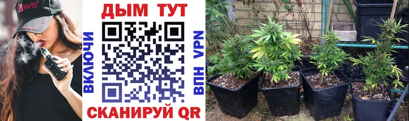 Канабис LSD WEED купить Октябрьск